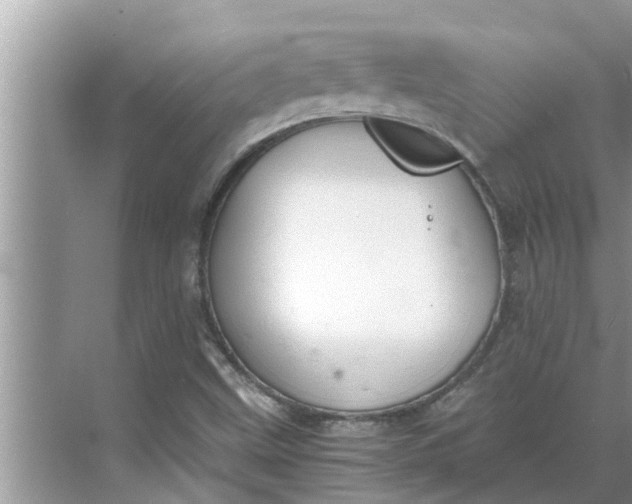 X0000068751499200605121556