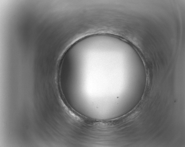 X0000068751500200605121556