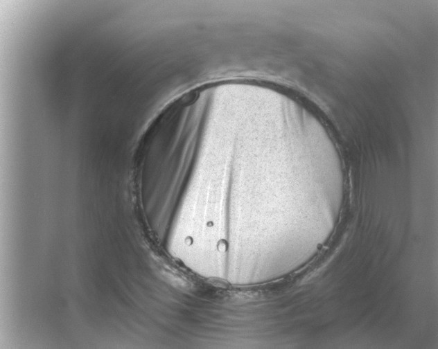 X0000068751501200605121556