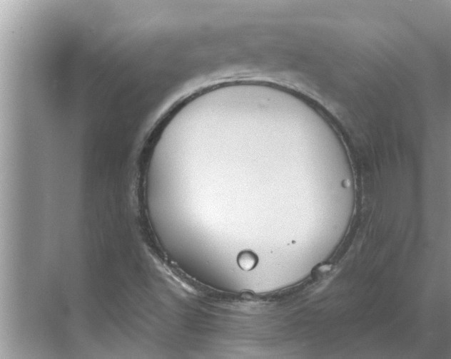 X0000068751502200605121556