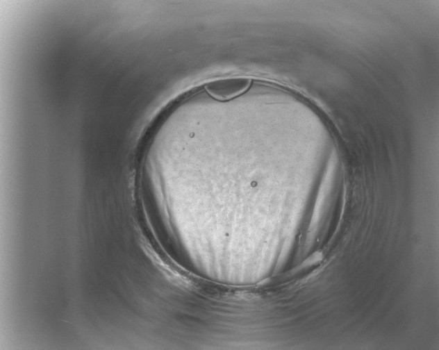 X0000068751503200605121556