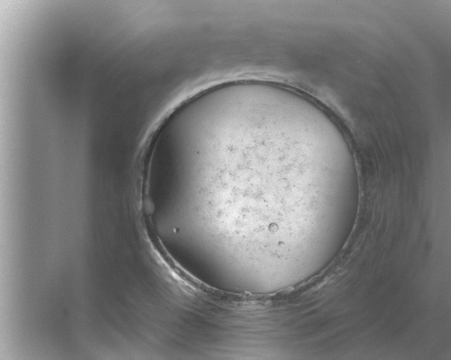 X0000068751504200605121556