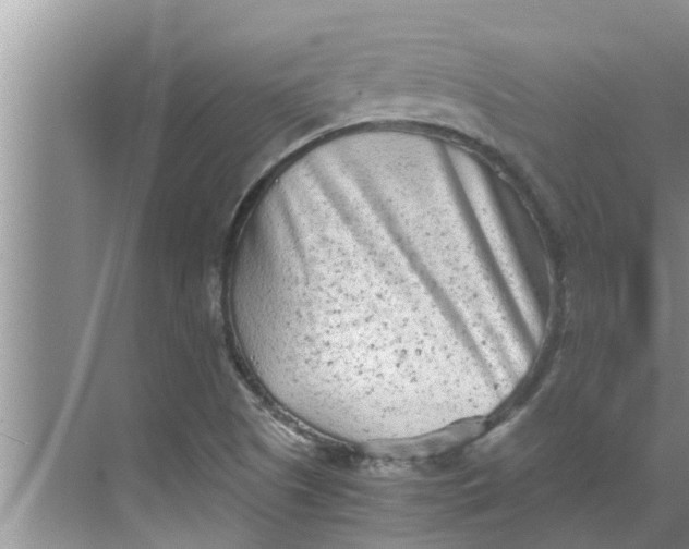 X0000068751505200605121556