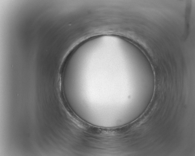 X0000068751509200605121556