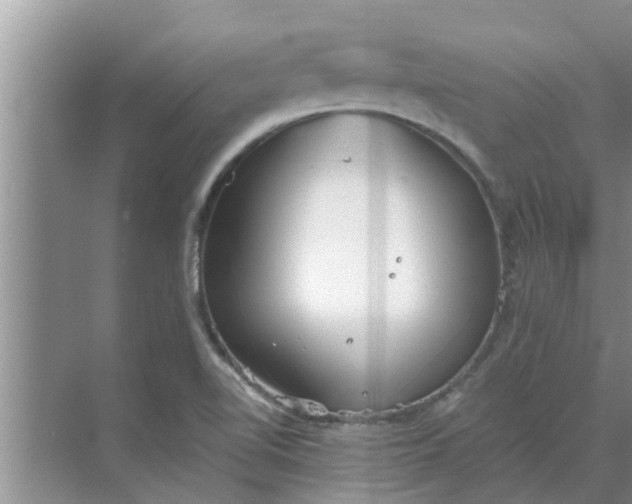 X0000068751510200605121556