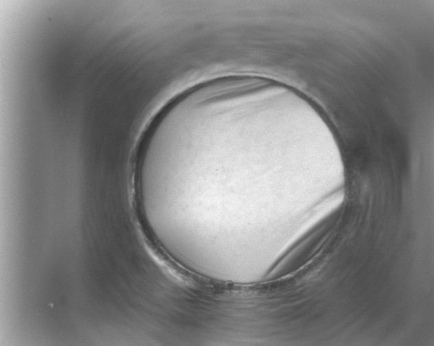 X0000068751511200605121556