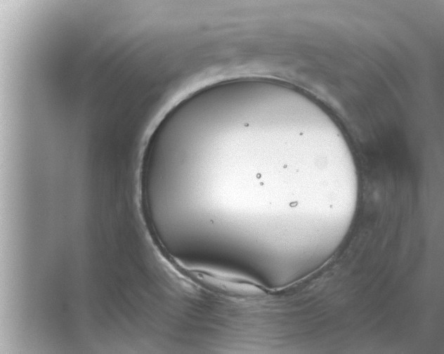 X0000068751512200605121556