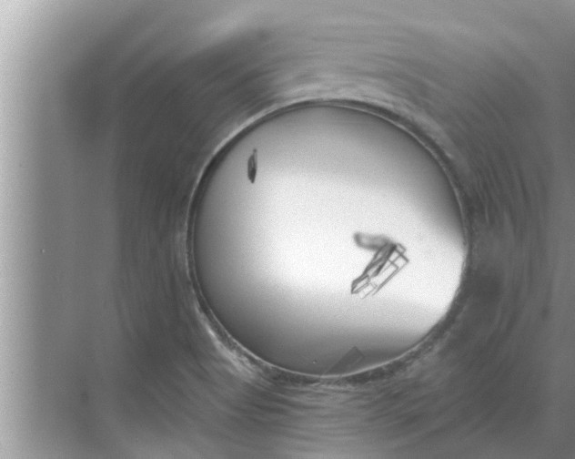 X0000068751513200605121556