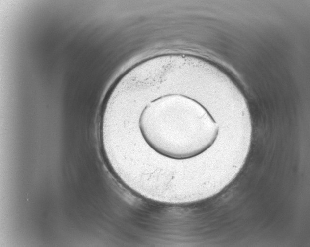 X0000068751514200605121556