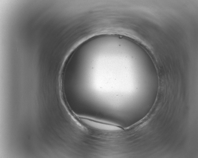 X0000068751517200605121556