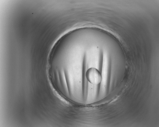 X0000068751518200605121556