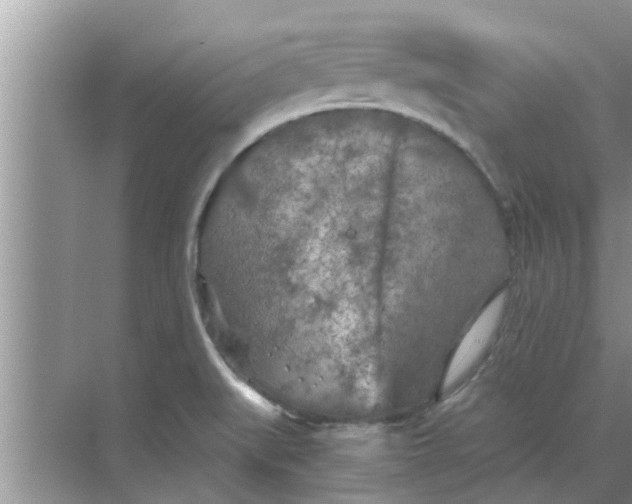 X0000068751519200605121556