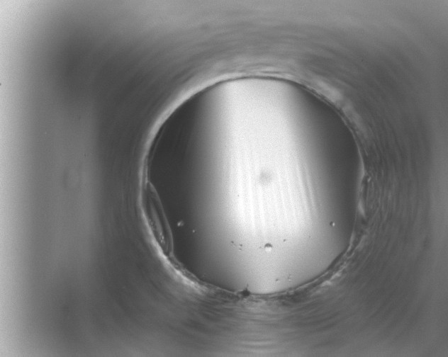 X0000068751520200605121556