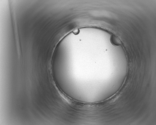 X0000068751521200605121556