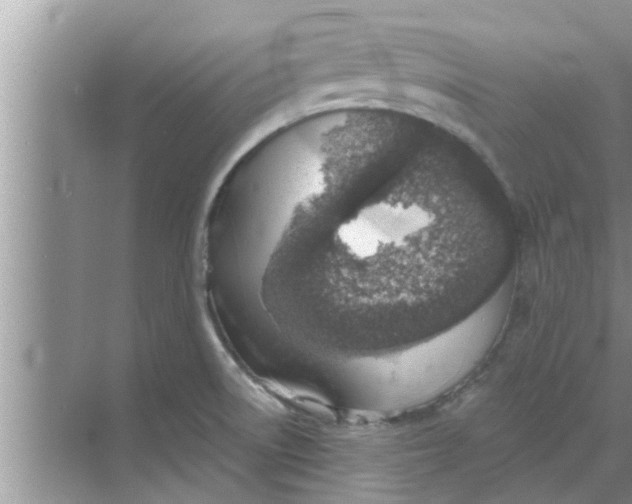 X0000068751522200605121556