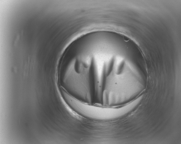 X0000068751523200605121556