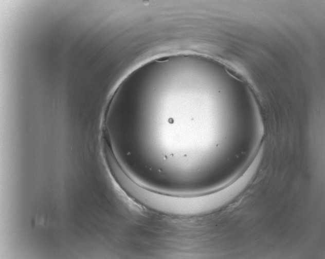 X0000068751524200605121556