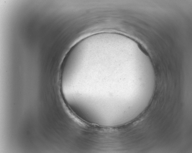 X0000068751526200605121556