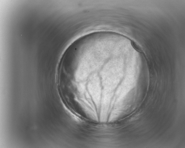 X0000068751527200605121556