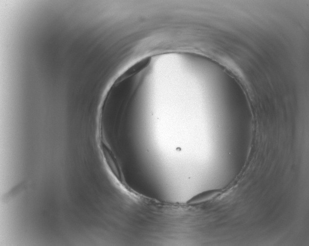 X0000068751528200605121556