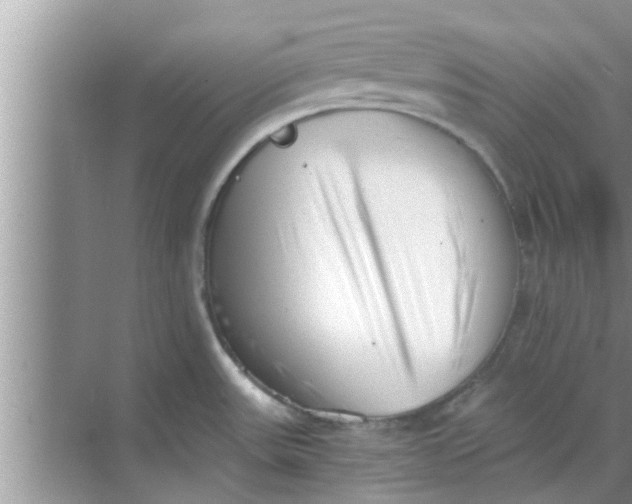 X0000068751531200605121557