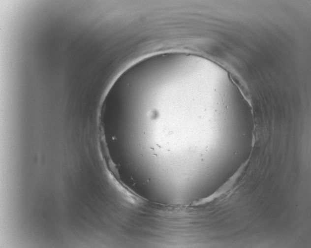 X0000068751532200605121557