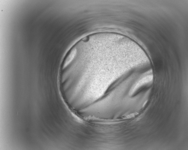 X0000068751533200605121557