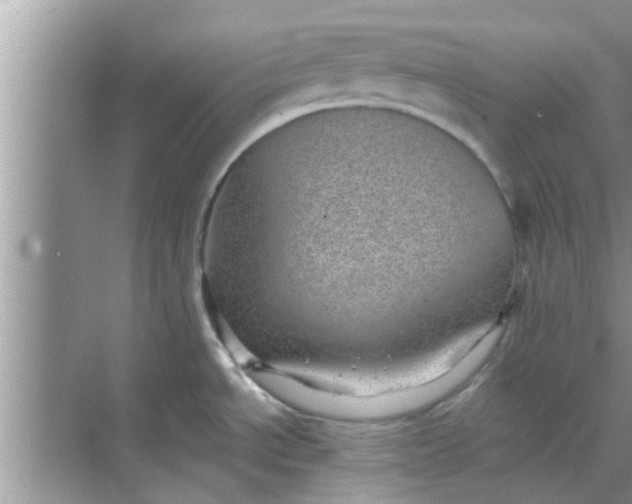 X0000068751534200605121557