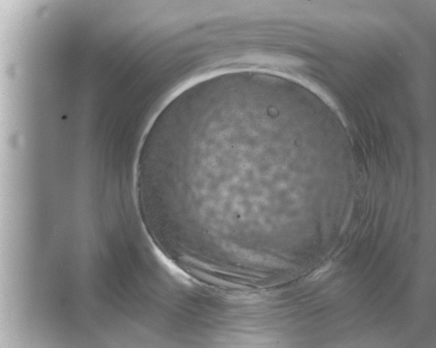 X0000068751535200605121557