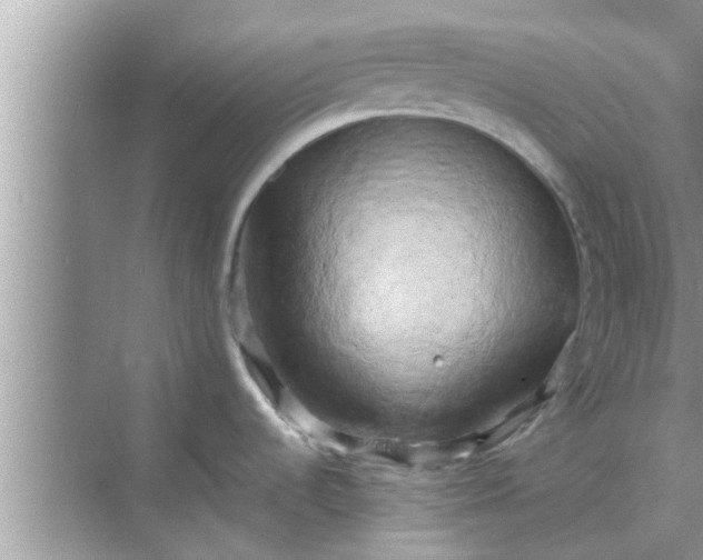 X0000068751536200605121557