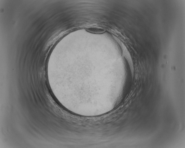 X0000068750002200605191610