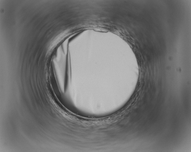 X0000068750005200605191610