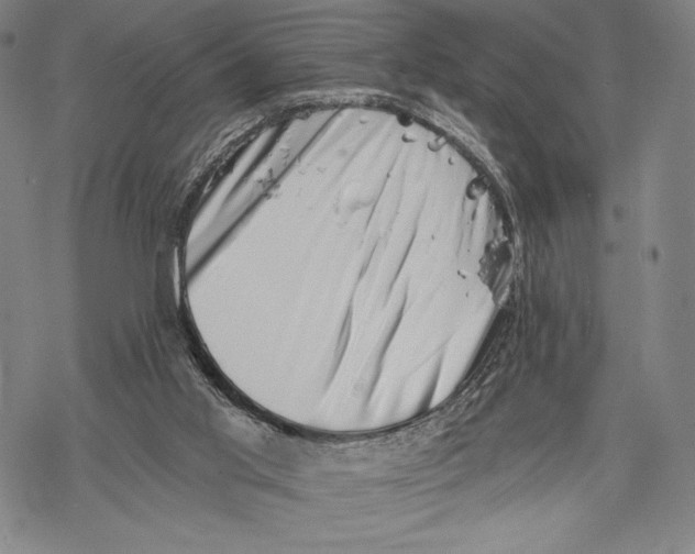 X0000068750013200605191610