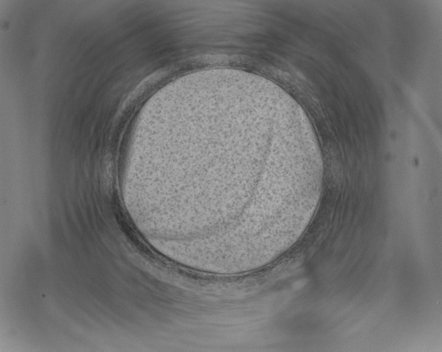 X0000068750016200605191610