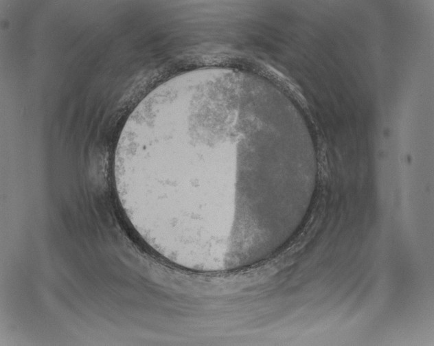 X0000068750018200605191610