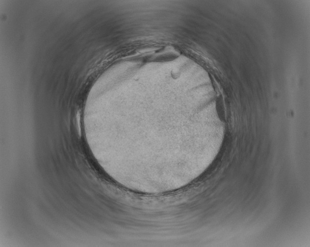 X0000068750022200605191610