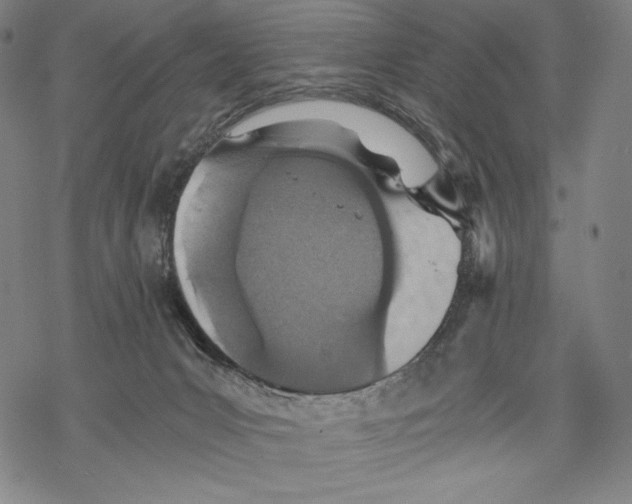 X0000068750031200605191610
