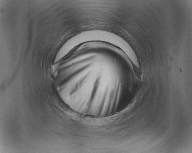 X0000068750045200605191609