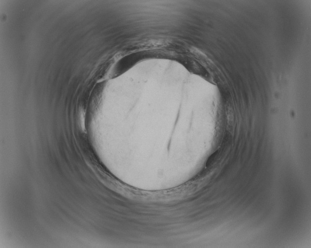 X0000068750046200605191609