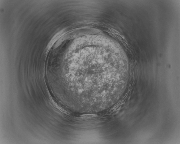X0000068750051200605191609