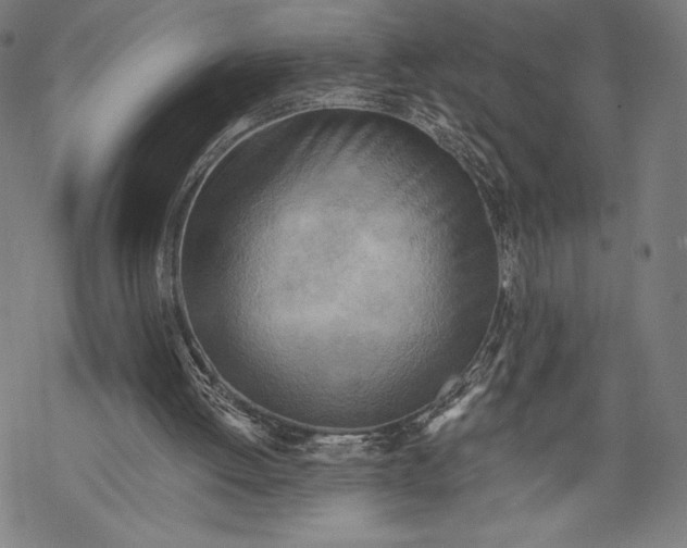 X0000068750052200605191609