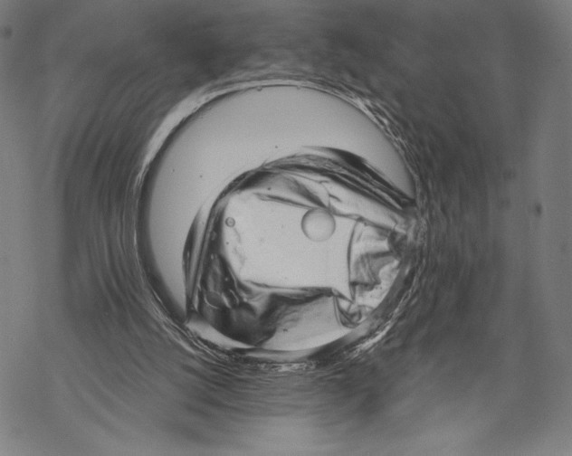 X0000068750056200605191609