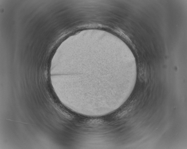 X0000068750063200605191609
