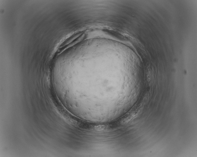 X0000068750064200605191609