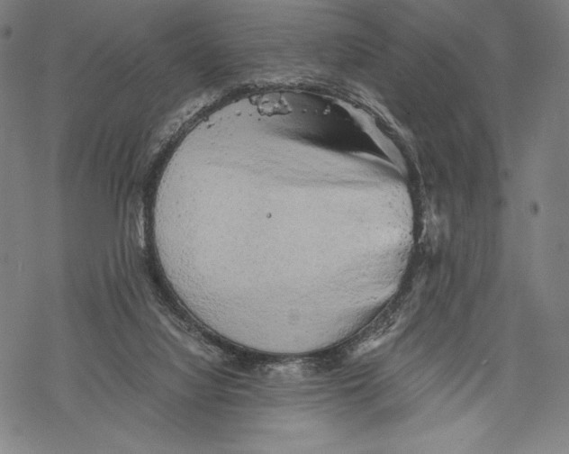 X0000068750068200605191609