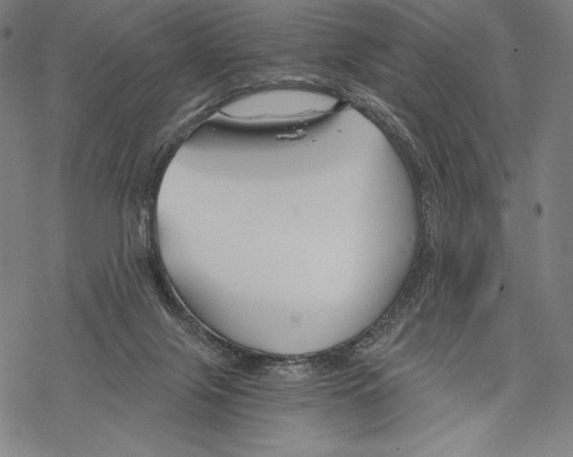 X0000068750071200605191609