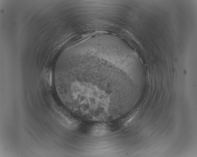X0000068750076200605191609
