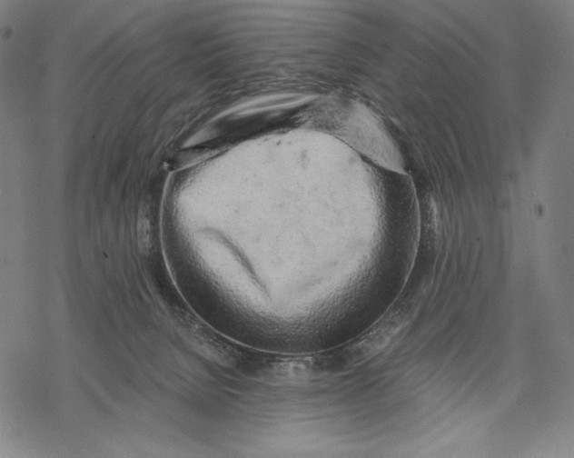 X0000068750080200605191609