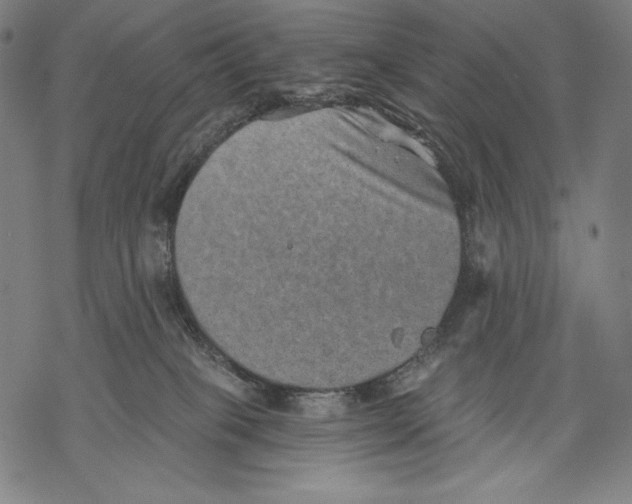 X0000068750085200605191609