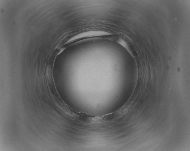 X0000068750092200605191609